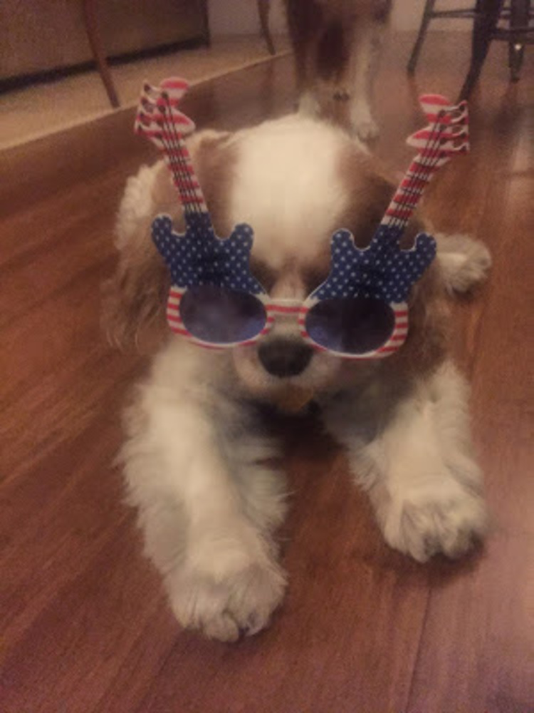 Meet your Posher, Eve